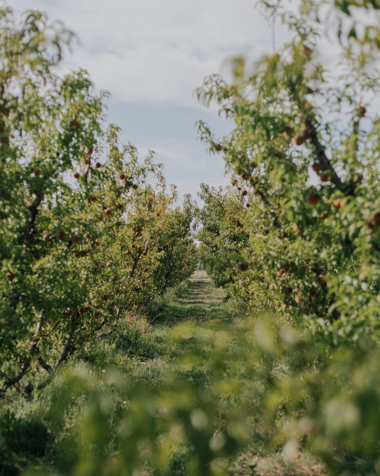 Environmental health monitoring