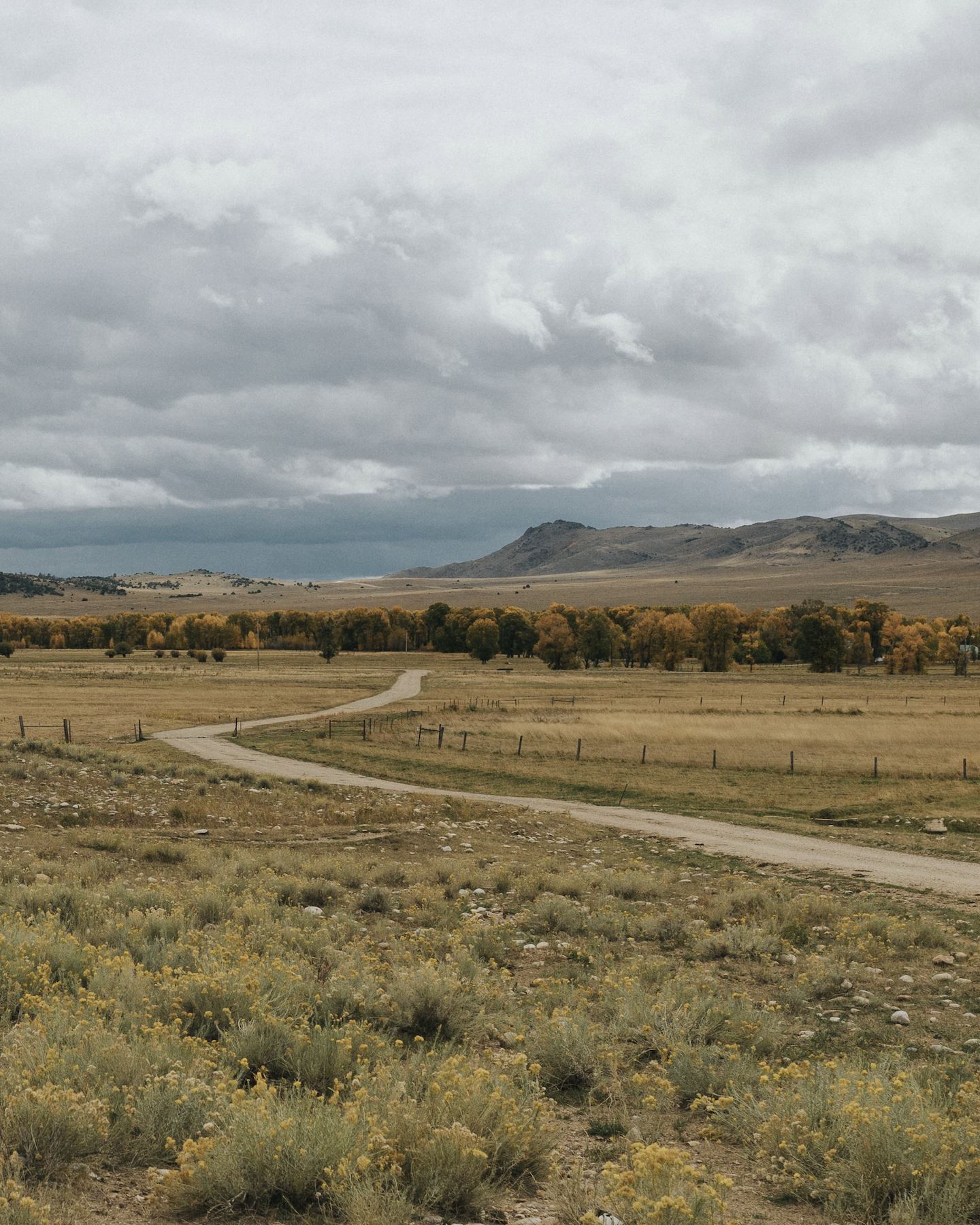 One Health field research